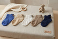 Baby Bear Socks | Cozy Cotton (5 Pairs)